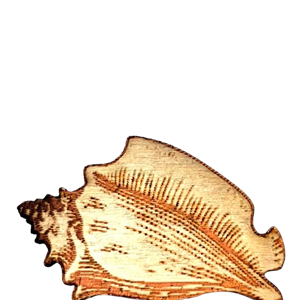 Conch Shell