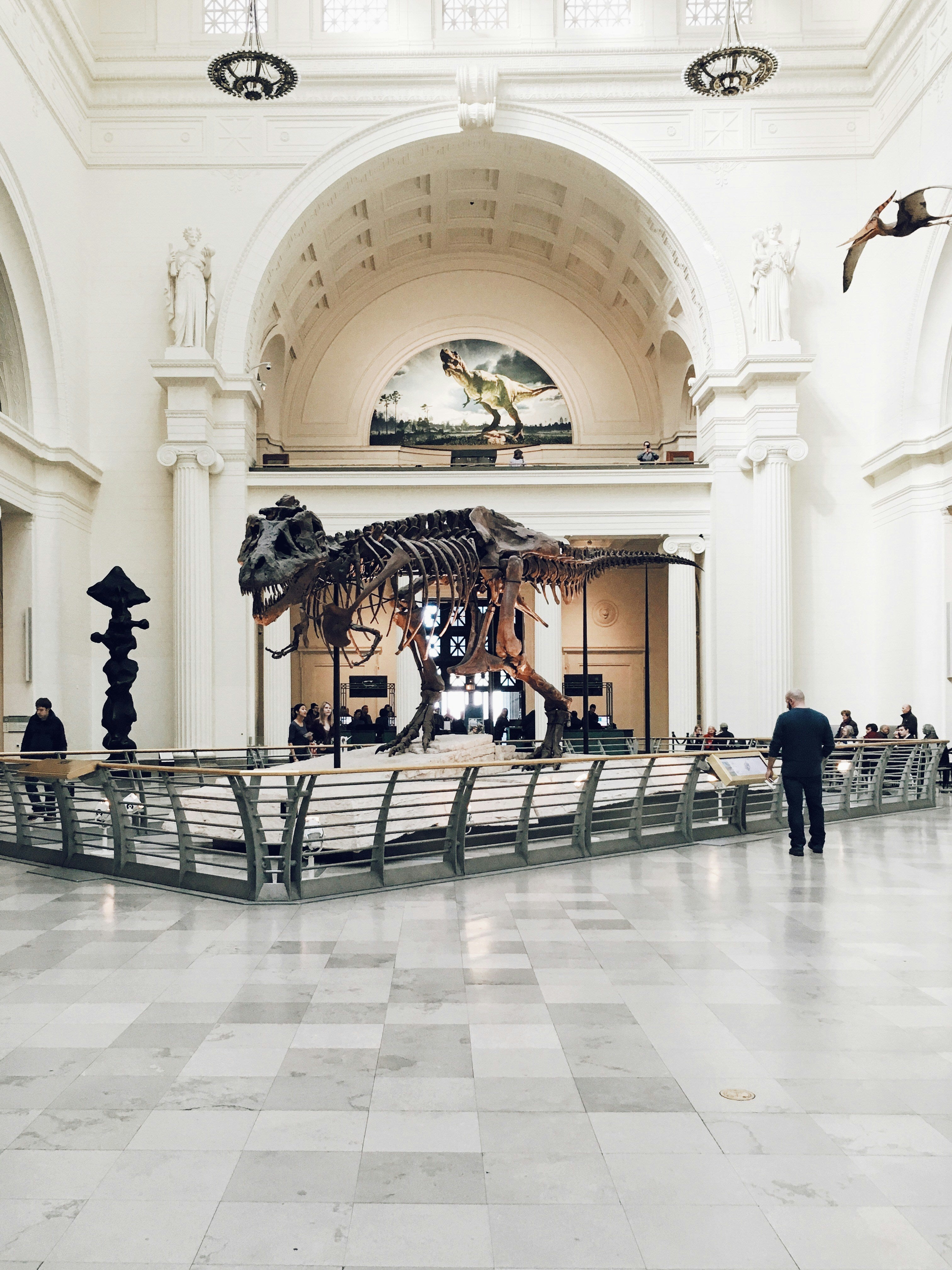 Attraction - Museum