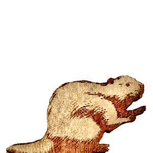 Beaver