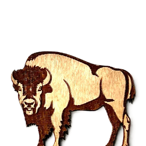 Bison